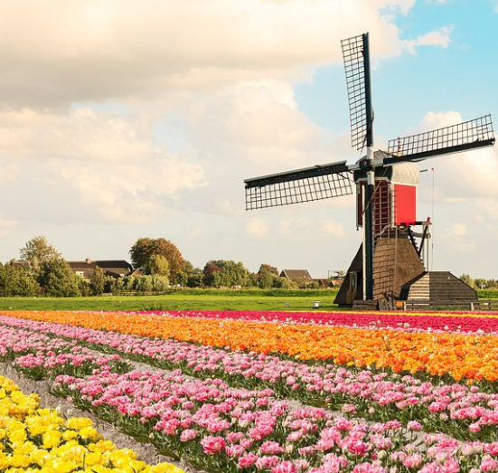 Ontwerp zonder titel (31)